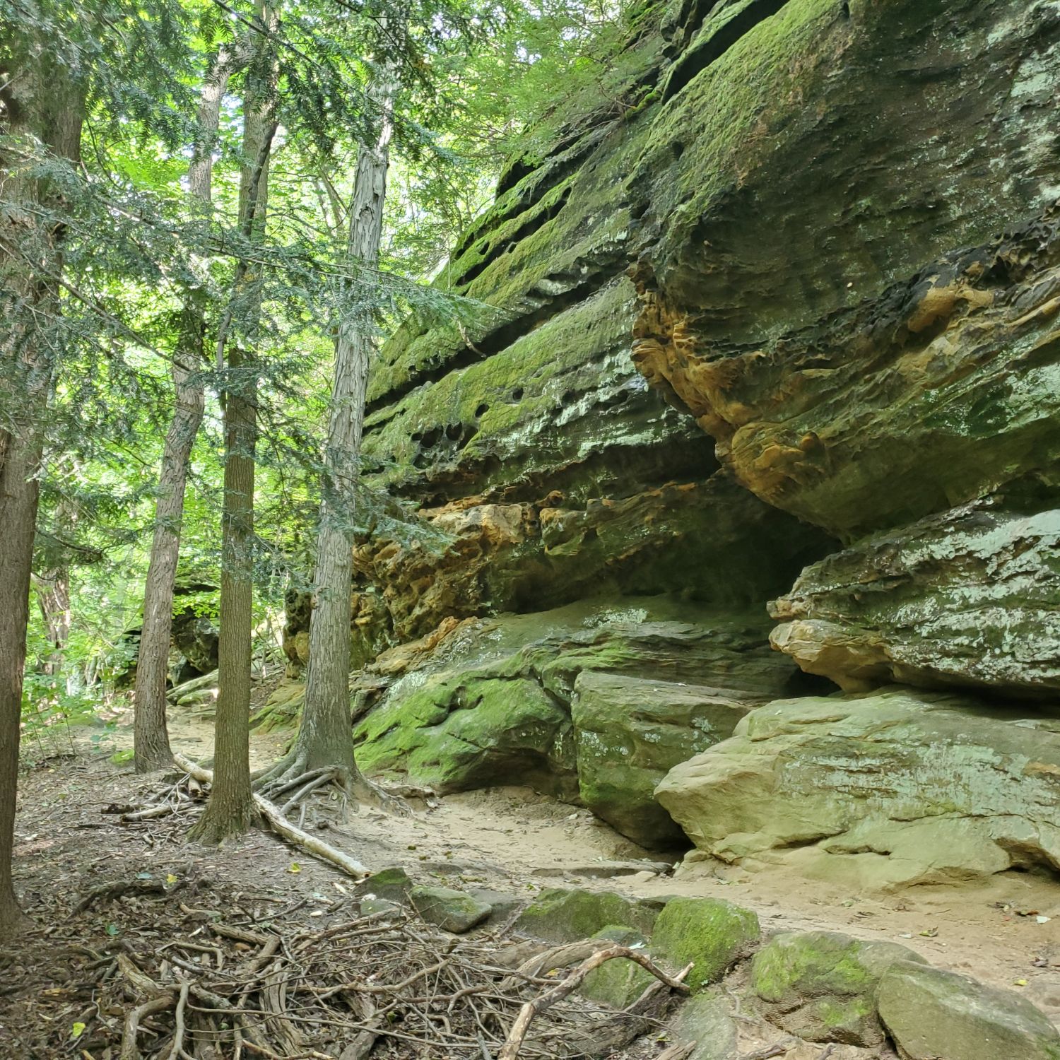 Ledges and Pine Grove Trails 